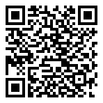 QR-Code - Oldschool Gaming Blue/Sliver